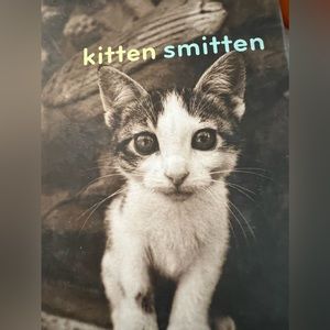 🐱Kitten Smitten 16 cards, 4/each design with 17 envelopes Jim Dratfield photo